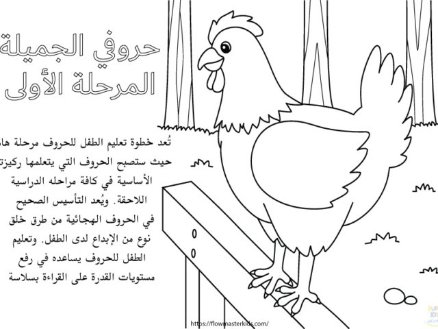 أوراق عمل كتاب خطواتي الأولى