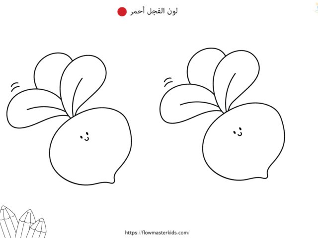 أوراق عمل كتاب خطواتي الأولى