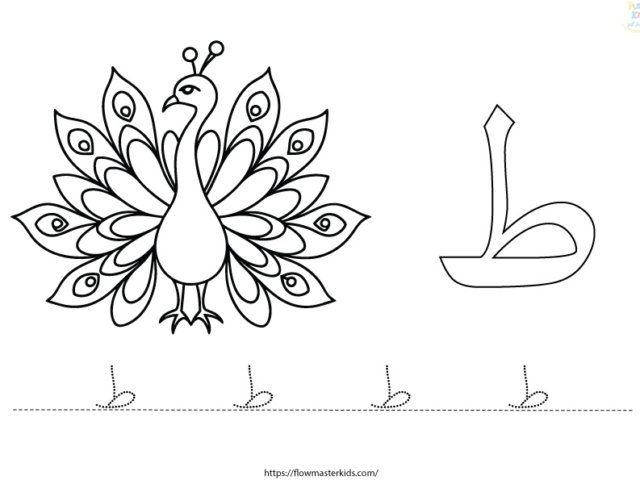 أوراق عمل كتاب خطواتي الثاني
